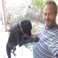 ☪Türkiyem Dizayn☪ profil görseli